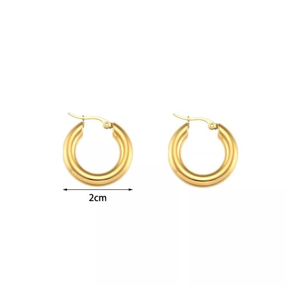 Small Chunky Classic Hoop Earrings 18K Gold Plated Stainless Steel - Picture 5 of 7